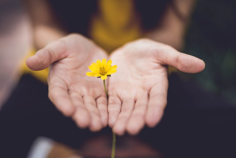 A person cups a flower in their hands