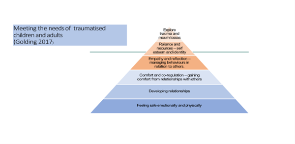 Diagram showing the needs of traumatised children and adults