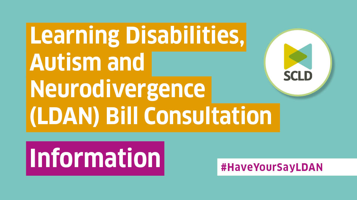 Featured image for “Learning Disabilities, Autism and Neurodivergence (LDAN) Bill consultation – Information”